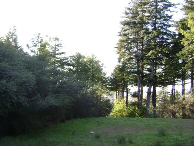 DSC08471