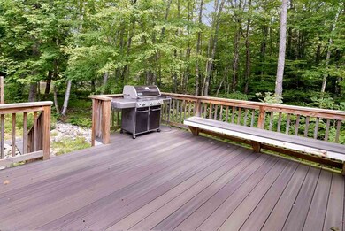 204 Clothespin Bridge Rd, Webster, NH 03303 - photo 6