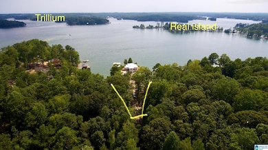 130 Willow Ln, Equality, AL 36026 - photo 7