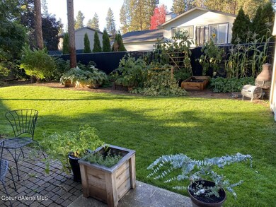 back of yard garden summer