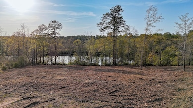 White Pond Ridge Estate SC Land for Sale