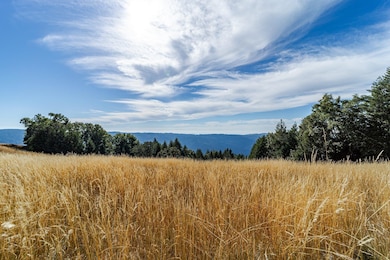 2660 Titlow Hill Road Blue Lake-101