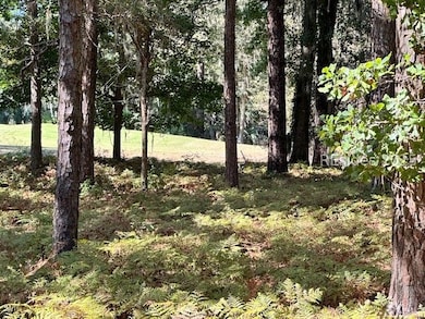 231 Fort Howell Dr, Hilton Head Island, SC 29926 - photo 2