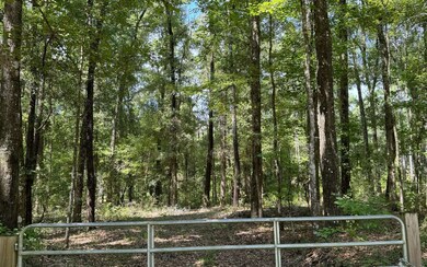 222 SW Loncala Loop, Fort White, FL 32038 - photo 5