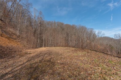 2220 Tilley Creek Rd unit Tract 3, Cullowhee, NC 28723 - photo 3