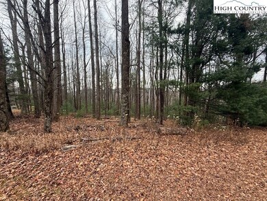 TBD Jobs Rd, Laurel Springs, NC 28644 - photo 4