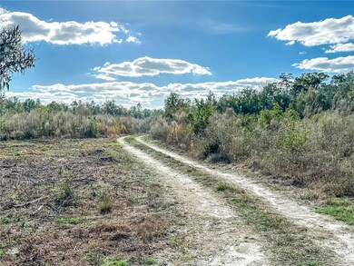 323 SW Blast Ct, Fort White, FL 32038 - photo 4