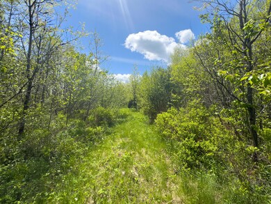 RIDGE ROAD LOT 4-19