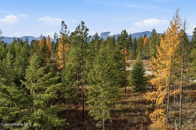 Lot 3 Poulton Way, Bonners Ferry, ID 83805 - photo 5