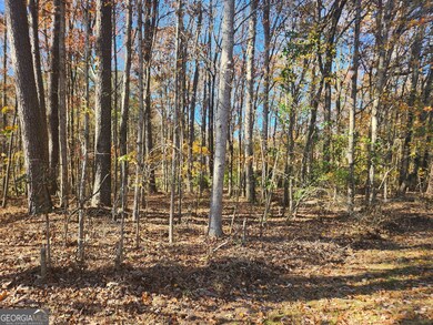 0 Woodland Creek Place unit 10421130, Hull, GA 30646 - photo 3