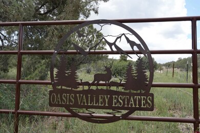 281 Oasis Valley Rd, Durango, CO 81303 - photo 7