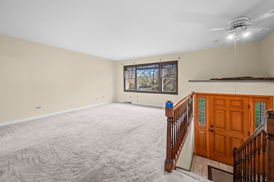 370 W Walnut St, Roselle, IL 60172 - photo 3