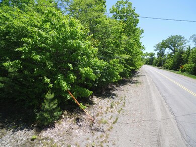 Street