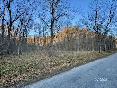 150 Lee Hollow Rd, Jackson, OH 45640 - photo 5