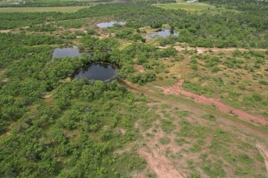 Tbd Fm 600, Anson, TX 79501 - photo 4