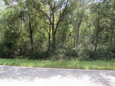 0 SW 54 St unit MFROM663380, Dunnellon, FL 34431 - photo 3