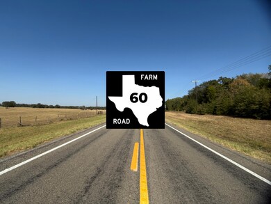 12191 County Road 414, Somerville, TX 77879 - photo 2