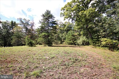0 Hawks Nest II unit WVMO116280, Berkeley Springs, WV 25411 - photo 3