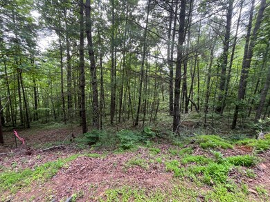 TBD Cranberry Creek Rd unit 15, Laurel Springs, NC 28644 - photo 3