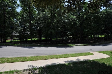 4005 Stonegate Blvd, Tyler, TX 75703 - photo 6