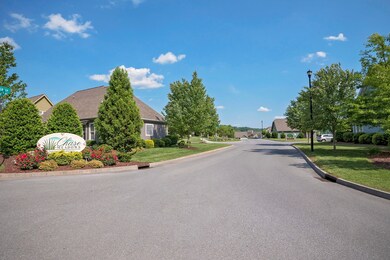 chase-meadows-photos-4