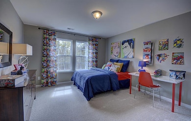 317 Blue Shadows Ct, Summerville, SC 29486 - photo 6