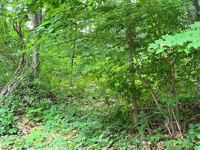 444 Cox Rd unit 1, Portland, CT 06480 - photo 6