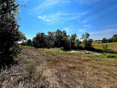 19867 Highway C, Unincorporated, MO 63775 - photo 3