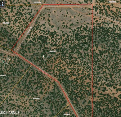 51439 Floyd Ranch Rd unit 1143, Seligman, AZ 86337 - photo 2