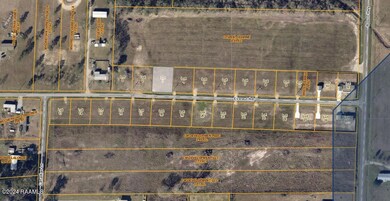 Assessor Land View
