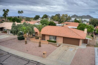 Elevated View