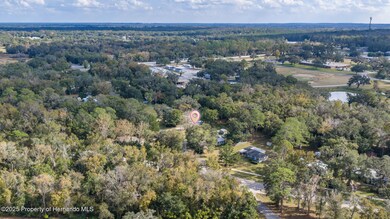 6 Croom Rd, Brooksville, FL 34601 - photo 3