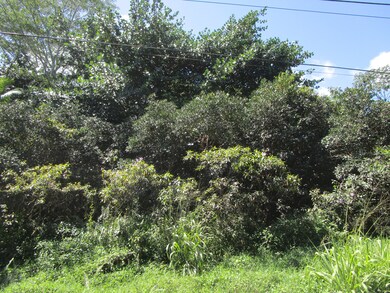 0 9th Ave (Kalaunu) unit 718806, Keaau, HI 96749 - photo 4