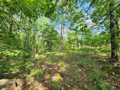 4, Wister, OK 74966 - photo 7