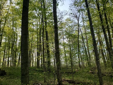 Lot 13 Hjermstad Dr, Ionia, MI 48846 - photo 6