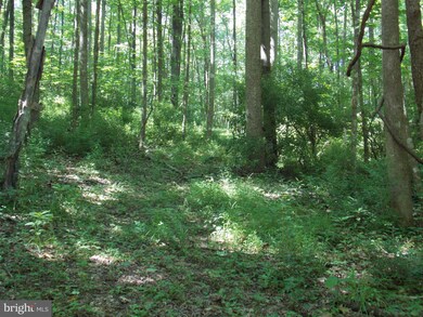 0 Lime Kiln Rd unit VALO386896, Middleburg, VA 20117 - photo 7