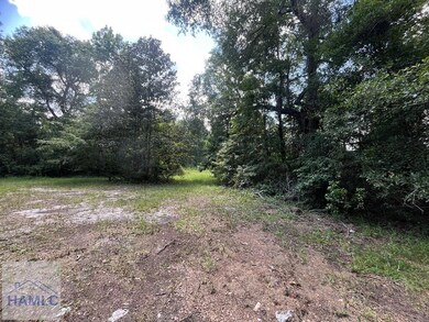 00 Hodges Rd, Hinesville, GA 31313 - photo 5