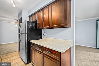 Chestnut Grove Condominiums unit 343, Reston, VA 20190 - photo 5