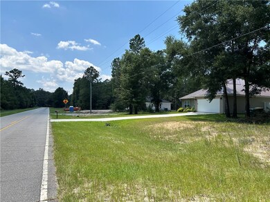 0 Smith Rd unit 1648466, Townsend, GA 31331 - photo 4