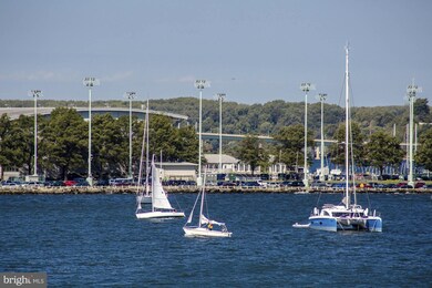 7 Horn Point Ct, Annapolis, MD 21403 - photo 6