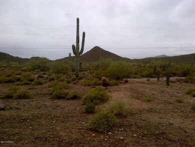 Backyard View Facing West #2