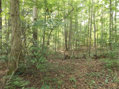 DSCF7075777