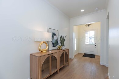 ENTRY VIEW 1