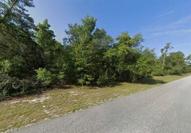 0 SW 27th Cir unit MFROM714718, Ocala, FL 34473 - photo 4