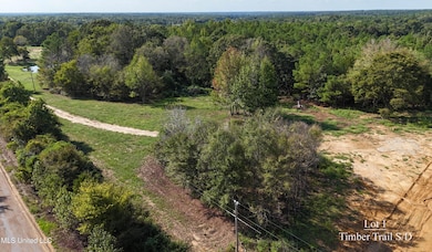 0 Tyro Branch Cove, Senatobia, MS 38668 - photo 2