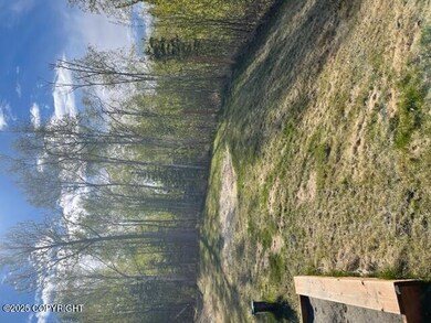 2742 S Avalon Cir unit 2, Wasilla, AK 99654 - photo 6