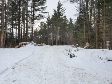 13 Bear Paw Trail unit 1-3, Littleton, NH 03561 - photo 4