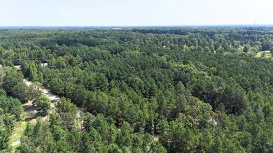 Sassafras Trail, White Hall, AR 71602 - photo 3