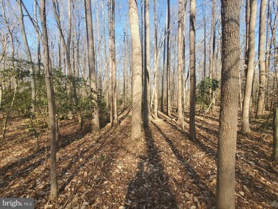 0 Cammack Dr unit VACV2001750, Ruther Glen, VA 22546 - photo 4