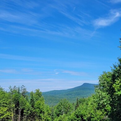 Off Rocky Rd, Newark, VT 05871 - photo 4